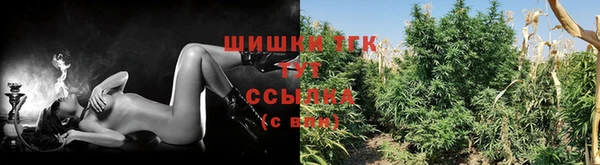молекула духа Наволоки