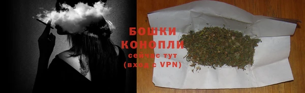 хмурый Мегион