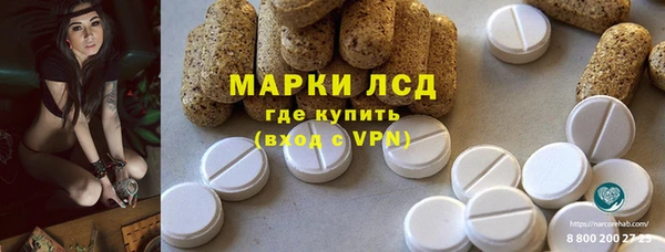 хмурый Мегион