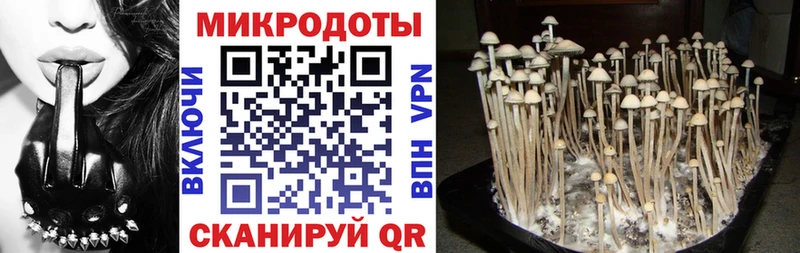 ОМГ ОМГ как зайти Нижний Ломов Галлюциногенные грибы Magic Shrooms
